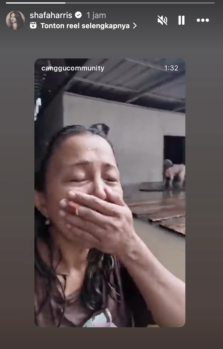Seorang ibu terjebak banjir Bali bersama belasan anjingnya. (Instagram/shafaharris)